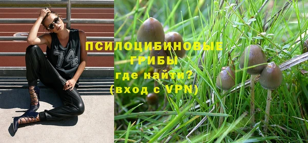 молекула духа Абаза
