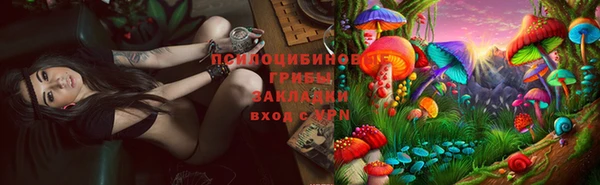 мяу мяу мука Абдулино
