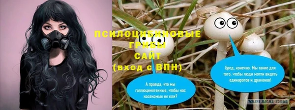 дмт Каменка