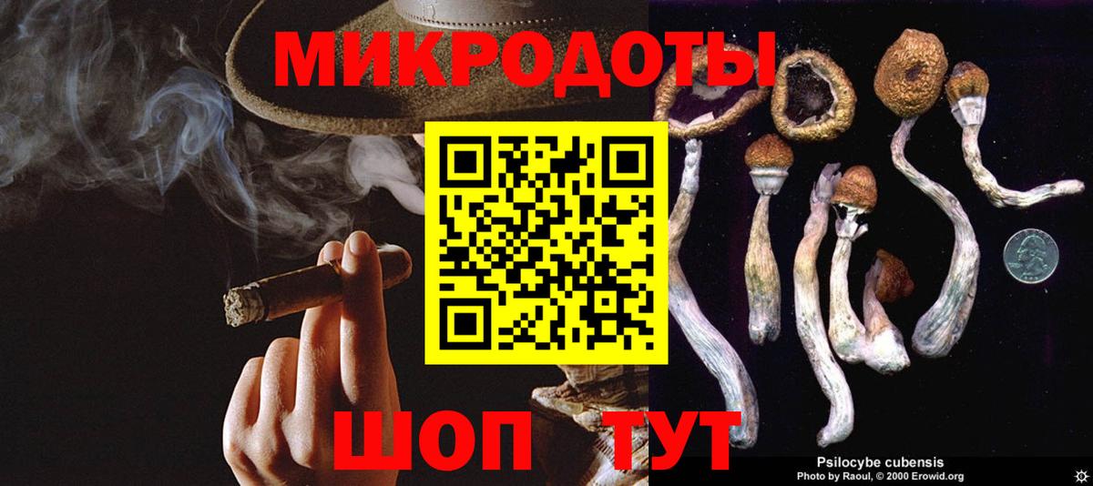Тутаев  Галлюциногенные грибы мицелий  Вход с VPN 