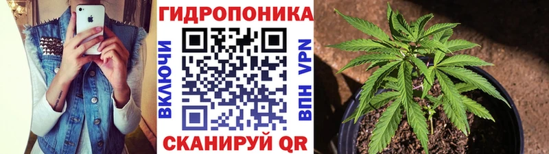 наркота  Тутаев  Каннабис AK-47 